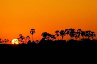 Selindasunset