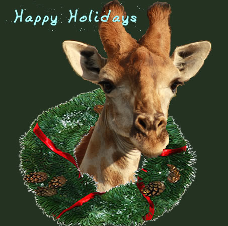 Happy Holidays