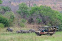 Game Drive