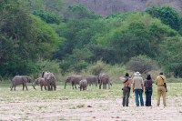 The Selous Project