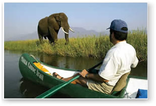 Elephant & Canoe