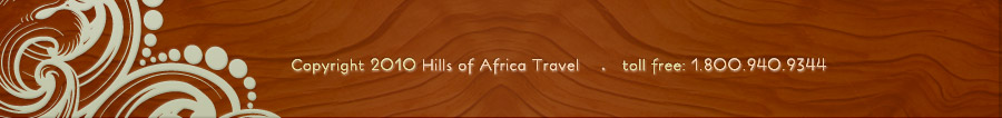 Copyright 2010 Hills of Africa Travel toll free 1-800-940-9344